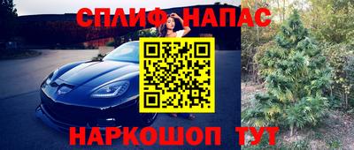 гидропоника Нальчик